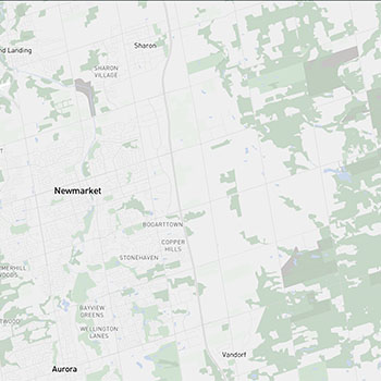 Urban and restrained — neutral gray #D8D8D8 base with graphite #3C3C3C, mid-gray #707070, and steel tone #9E9E9E. Charcoal #565656 and silver #E2E2E2 create a cool, utilitarian precision.