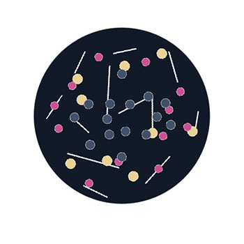 Personal data as social day.