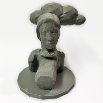 A 3D-printed selfie combining my scanned plasticine head, a DSLR body, and a cloud to represent external perception, physical identity, and internal thought.